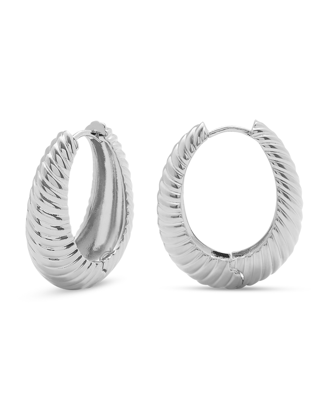 Silver Hoop Earrings Wild