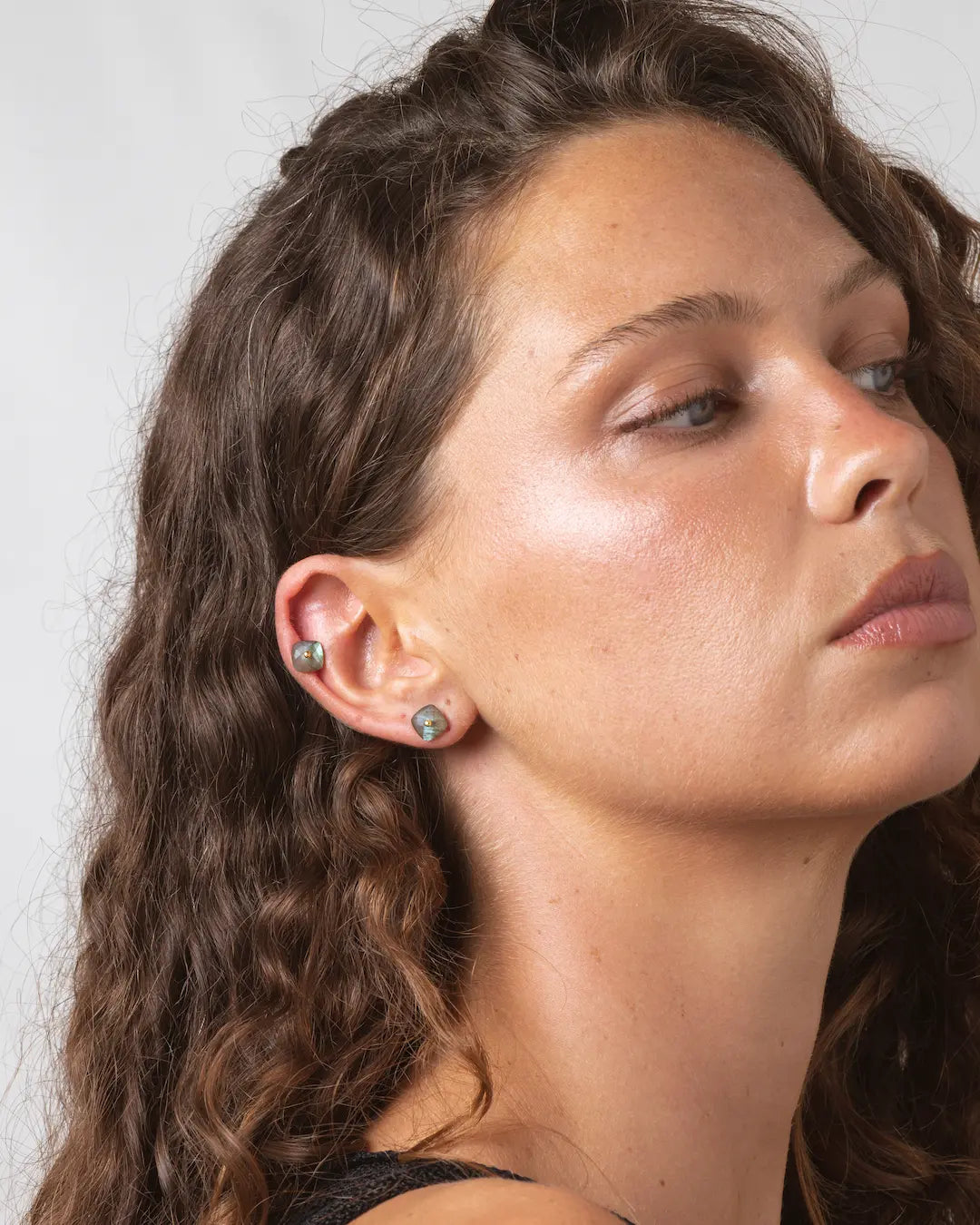 Nude Labradorite Earrings