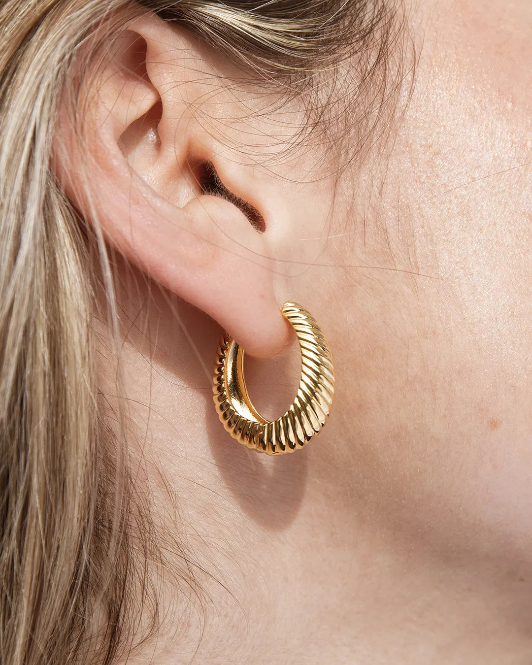 Wild Hoop Earrings
