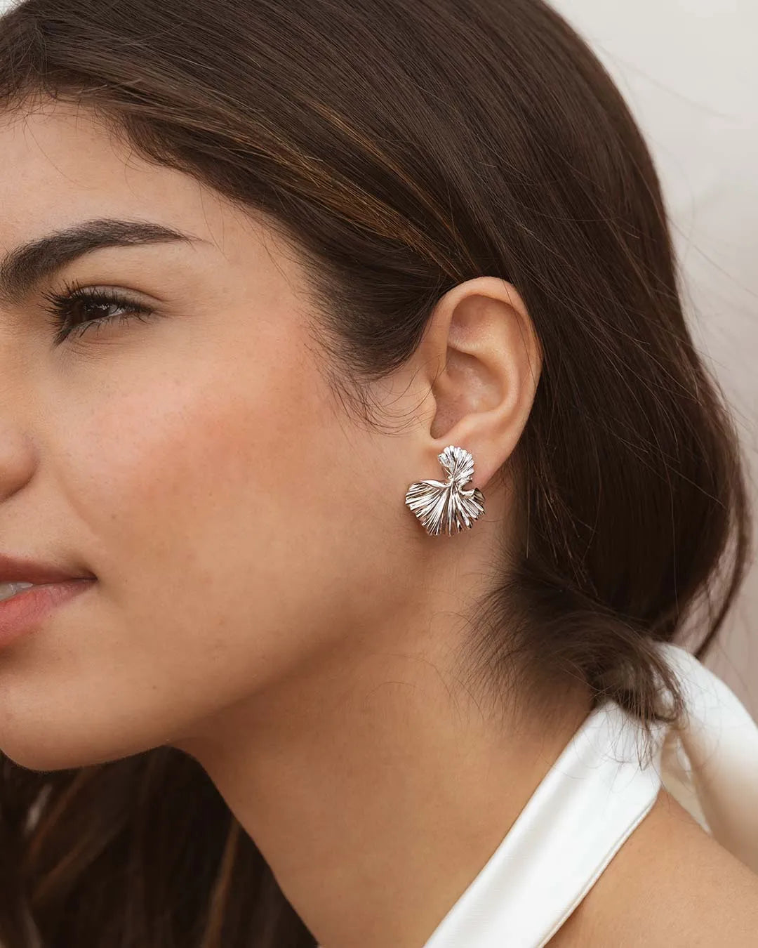 Pendientes Plateados Galé