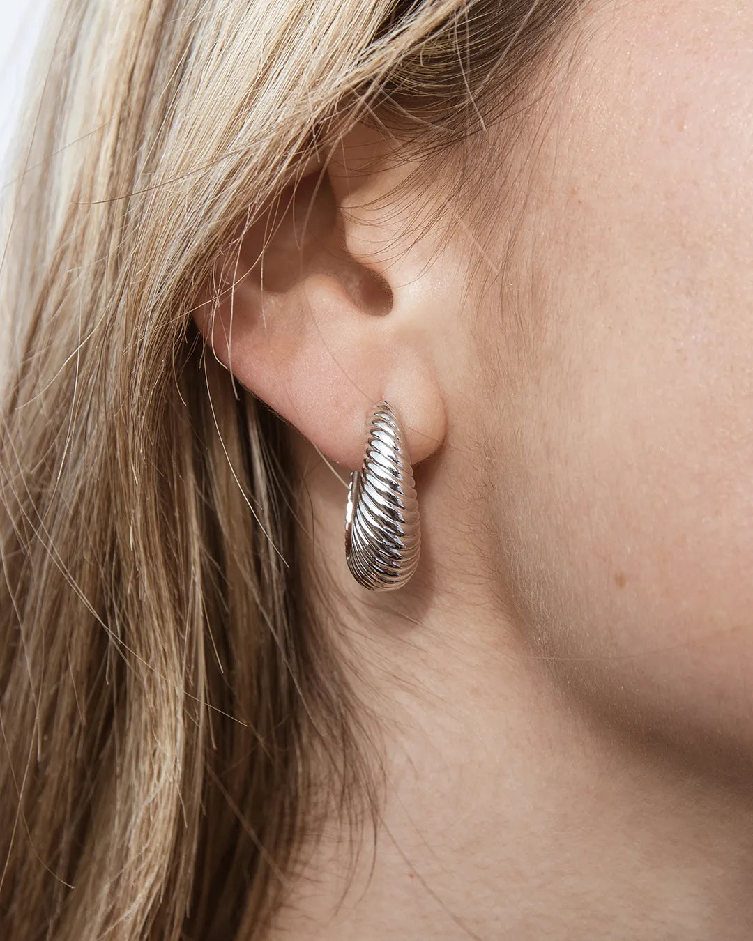 Silver Hoop Earrings Wild