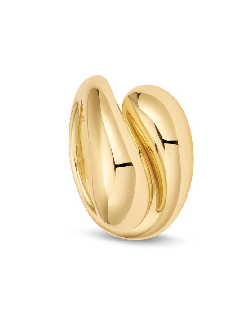 Anillo Solidario Dame5mas
