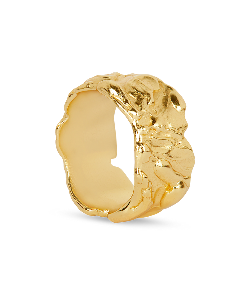 Golden Treasure Ring