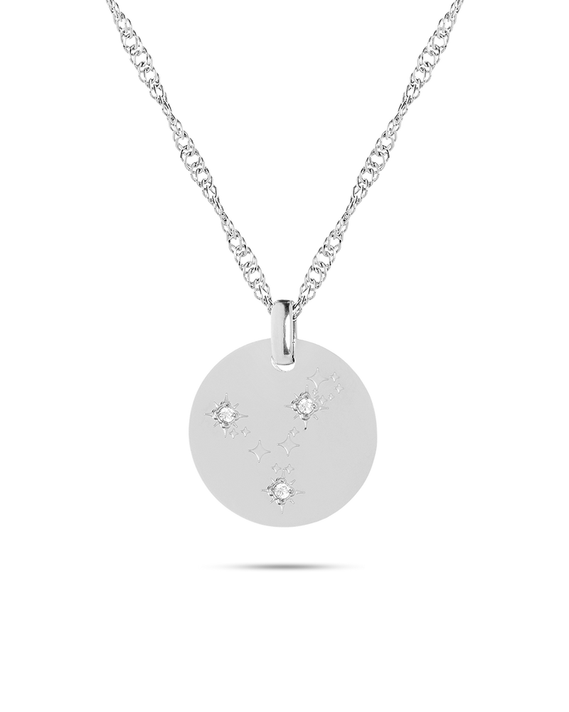 Silver Zodiac Pisces Necklace