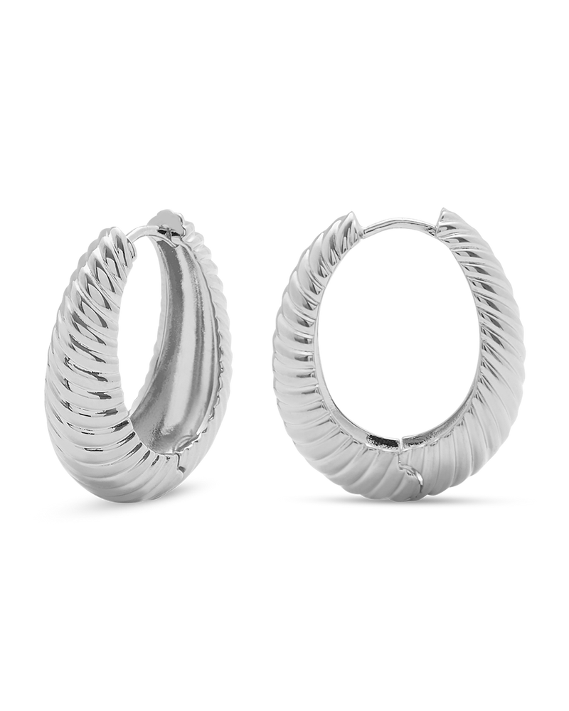 Silver Hoop Earrings Wild