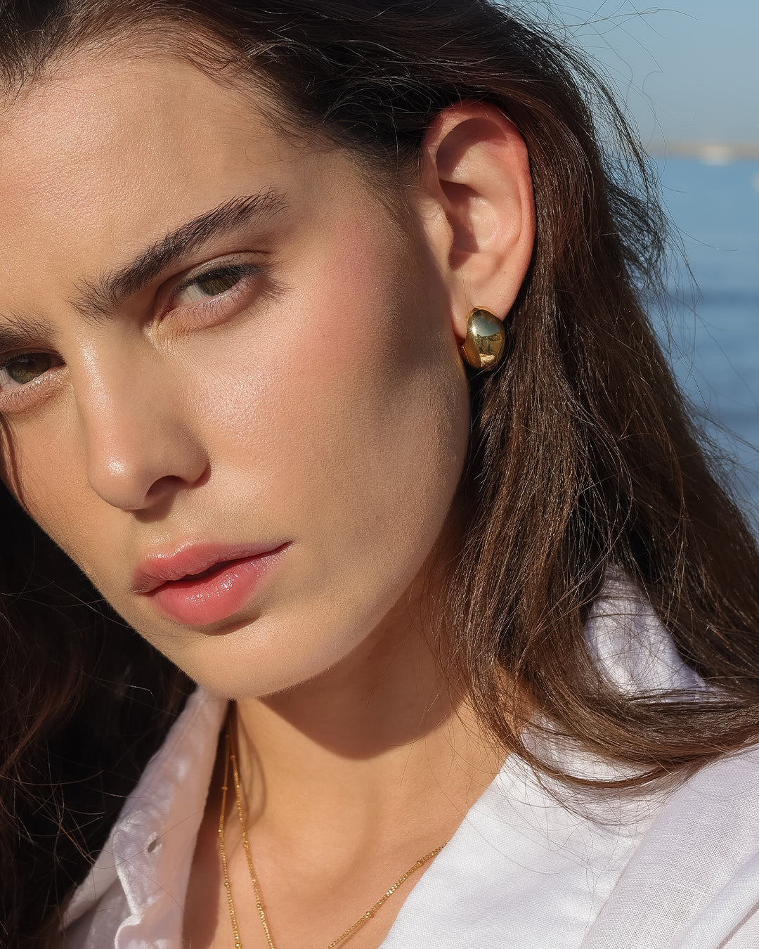 Aros Elena