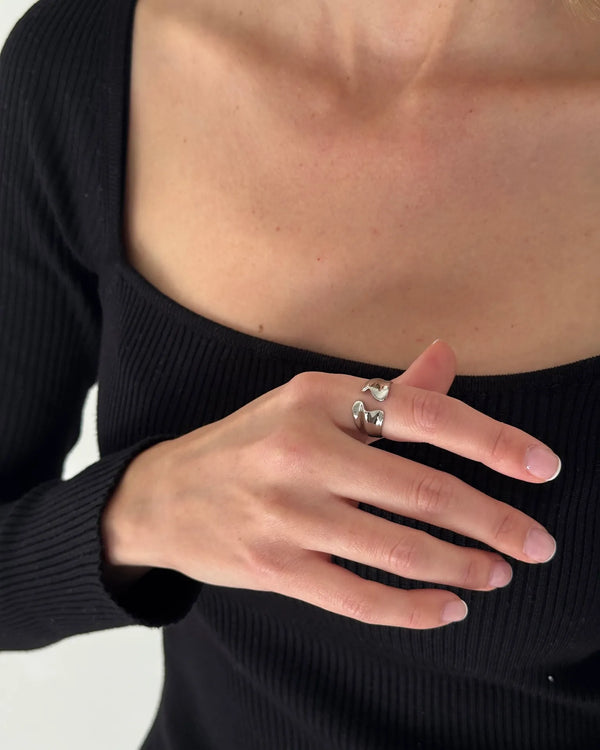 Anillo Plateado Nemo