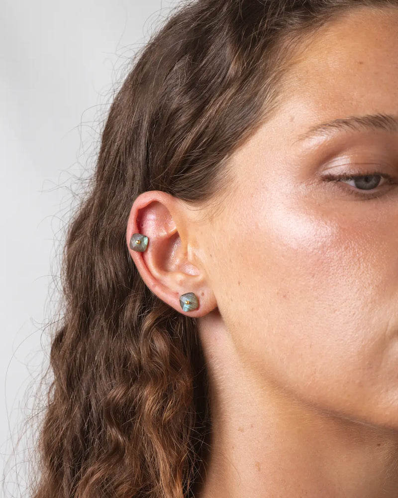 Nude Labradorite Earrings