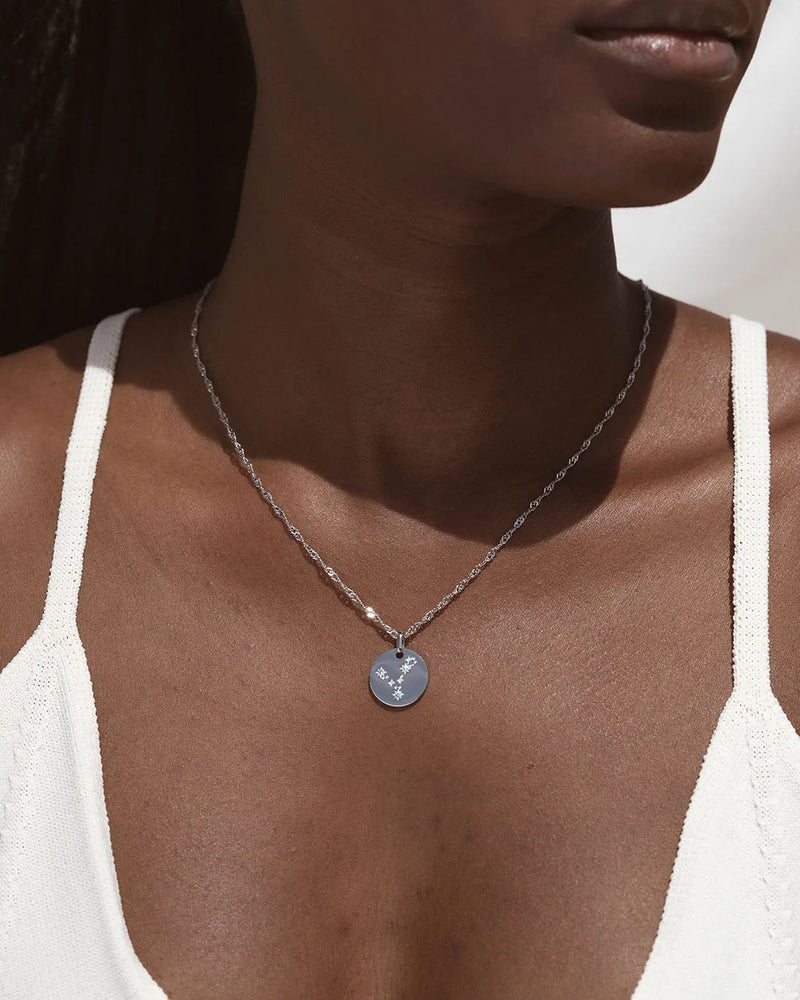 Silver Zodiac Pisces Necklace