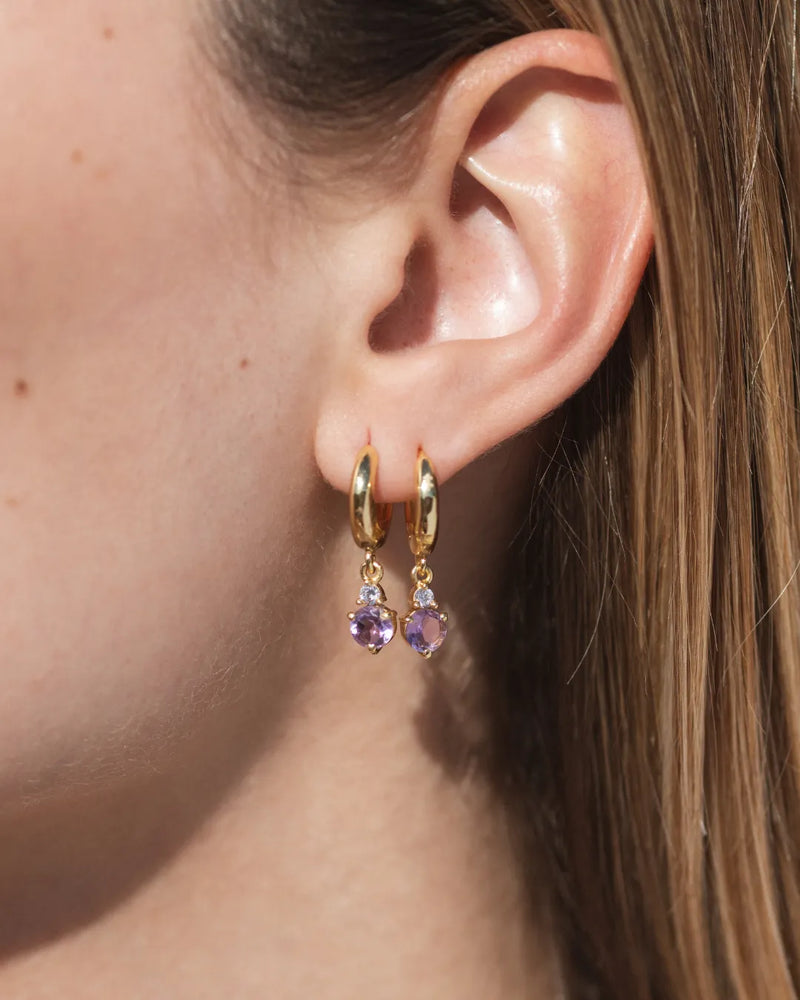 February Birthstone Earrings - Amethyst 