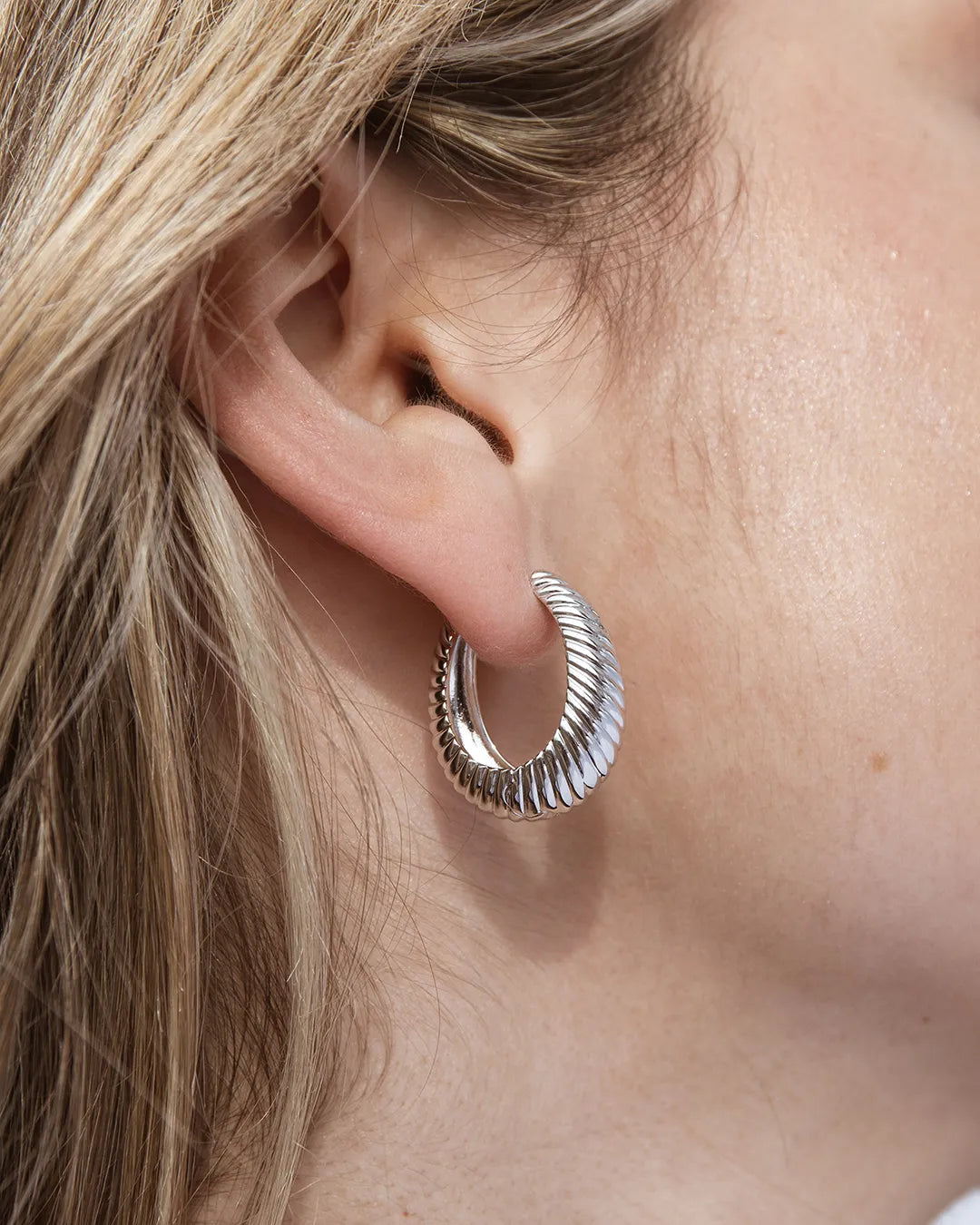 Silver Hoop Earrings Wild