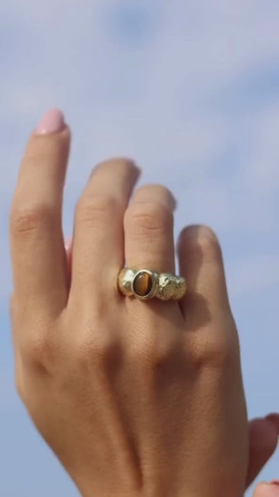 Anillo-Brunel-MBL